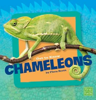 Get to Know Chameleons