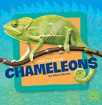 Get to Know Chameleons