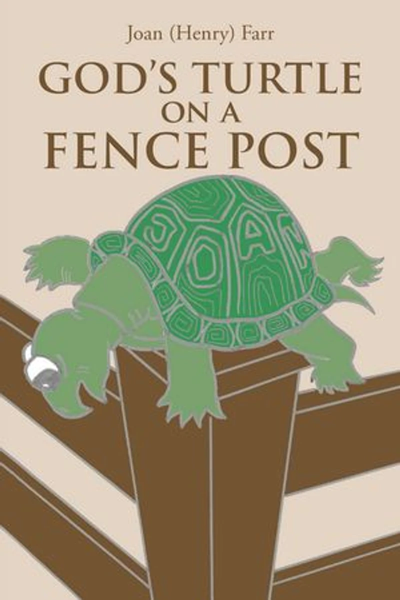 God's Turtle on a Fence Post