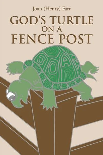 God's Turtle on a Fence Post