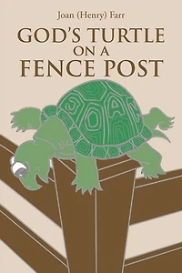 God's Turtle on a Fence Post