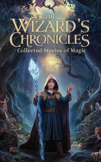 The Wizard's Chronicles: Fantasy fiction, #1
