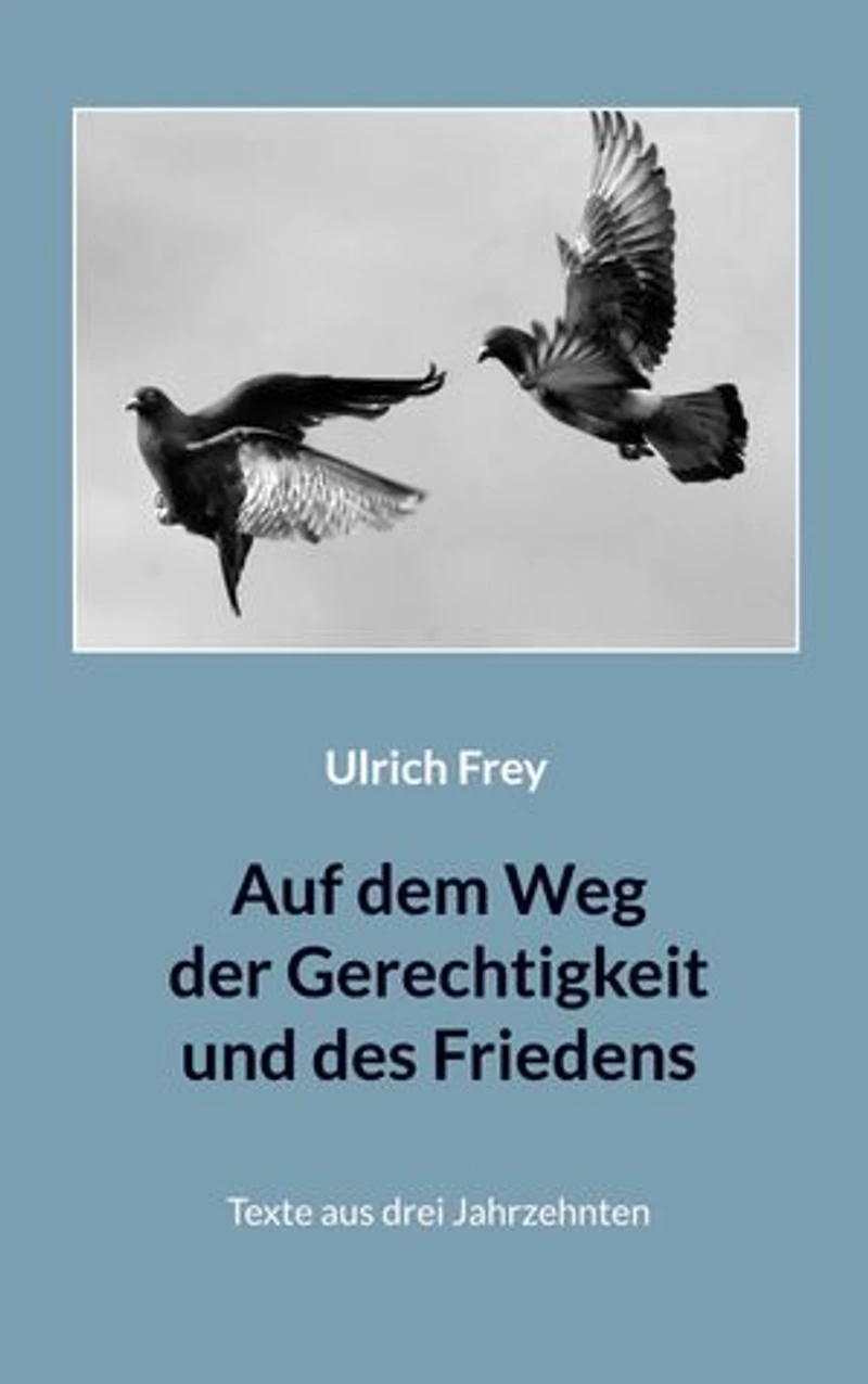 Auf dem Weg der Gerechtigkeit und des Friedens: Texte aus drei Jahrzehnten