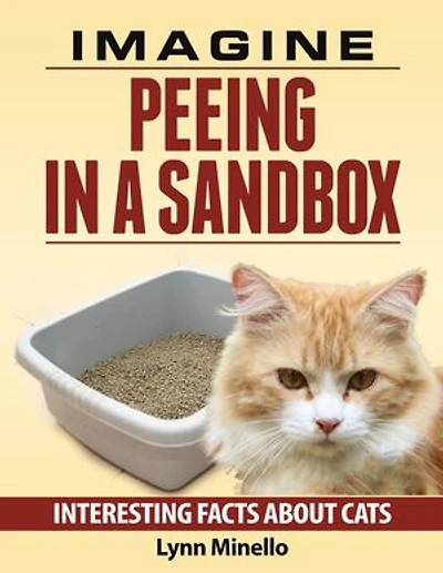 Imagine Peeing In a Sandbox - Interesting Facts About Cats