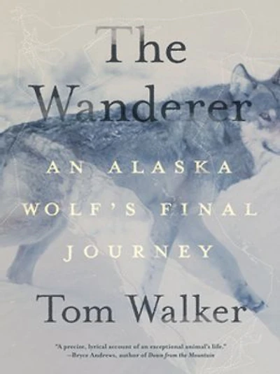 The Wanderer: An Alaska Wolf's Final Journey