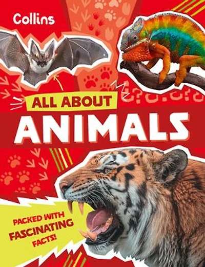 Animals: Discover fascinating facts about wildlife