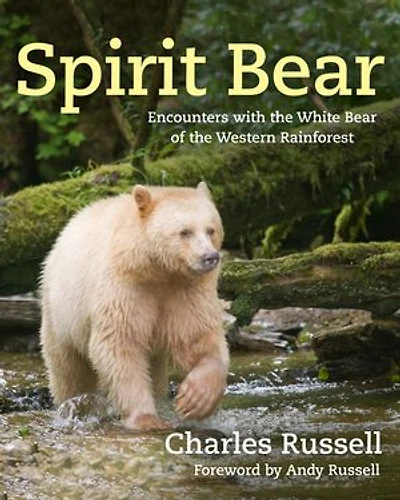Spirit Bear: Encounters with the White Bear of Western Rainforest