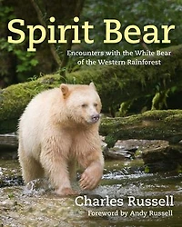 Spirit Bear: Encounters with the White Bear of Western Rainforest