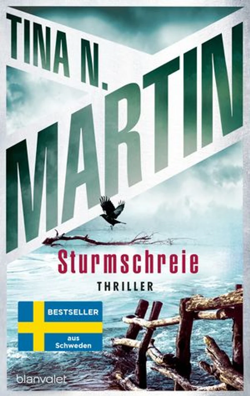 Sturmschreie: Thriller - Nordisch, packend, topaktuell: Der Bestseller aus Schweden!