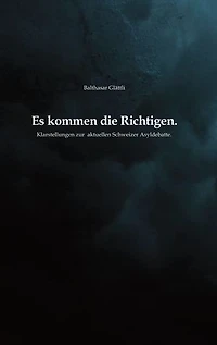 Es kommen die Richtigen.: Klarstellungen zur aktuellen Schweizer Asyldebatte
