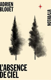 L' absence de ciel