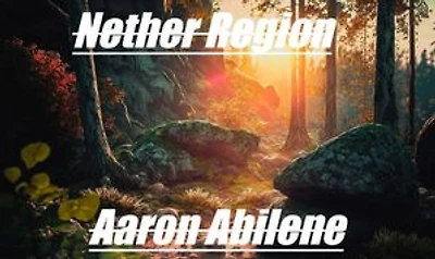 Nether Region: The Author, #5