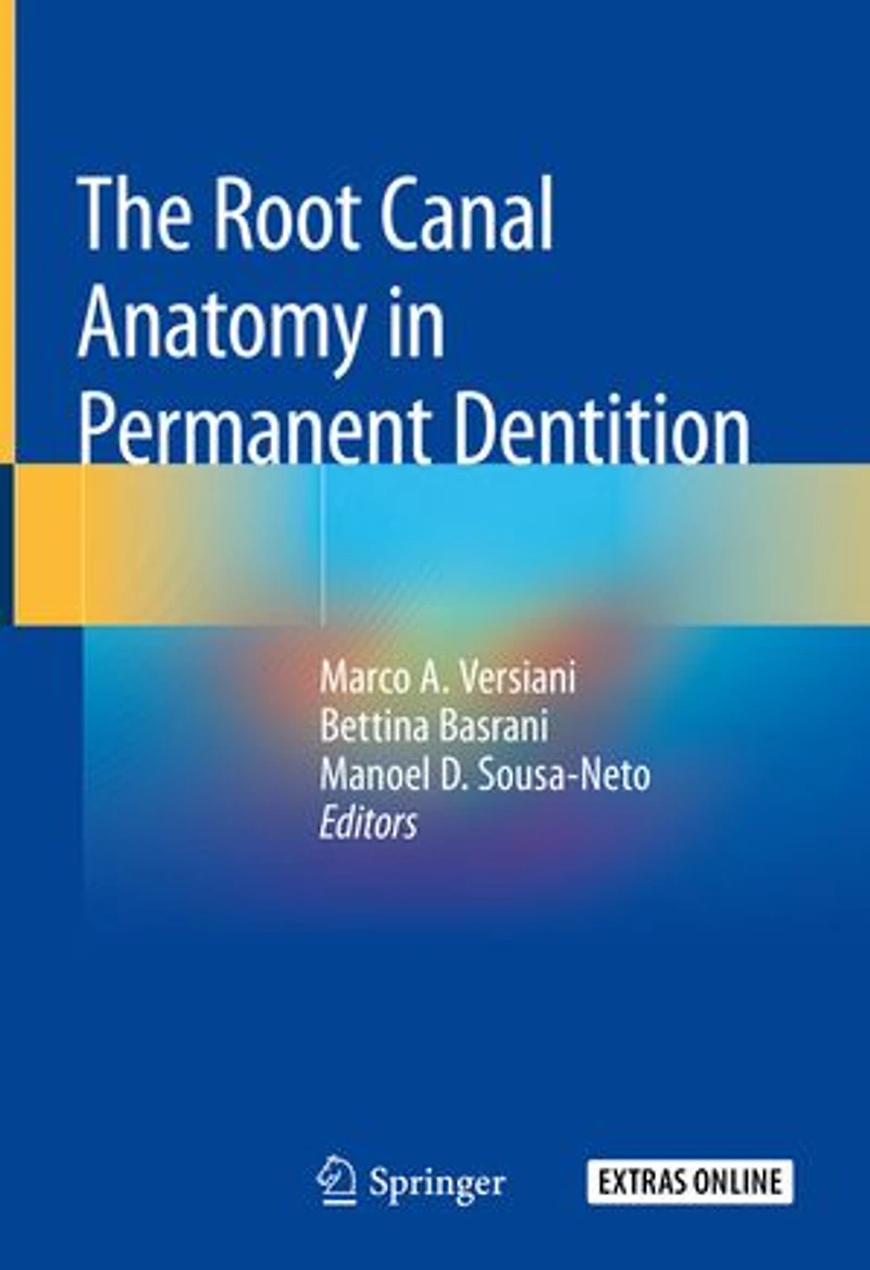 The Root Canal Anatomy Permanent Dentition