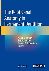 The Root Canal Anatomy Permanent Dentition
