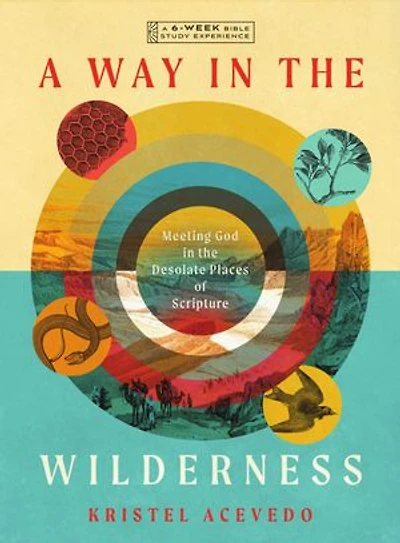 A Way in the Wilderness: Meeting God in the Desolate Places of Scripture--A 6-Week Bible Study with Video Access