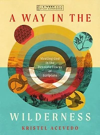 A Way in the Wilderness: Meeting God in the Desolate Places of Scripture--A 6-Week Bible Study with Video Access