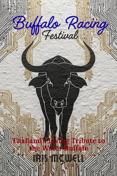 Buffalo Racing Festival: Festival in Thailand, #3