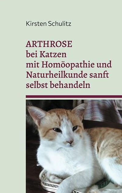 Arthrose bei Katzen mit Homöopathie und Naturheilkunde sanft selbst behandeln