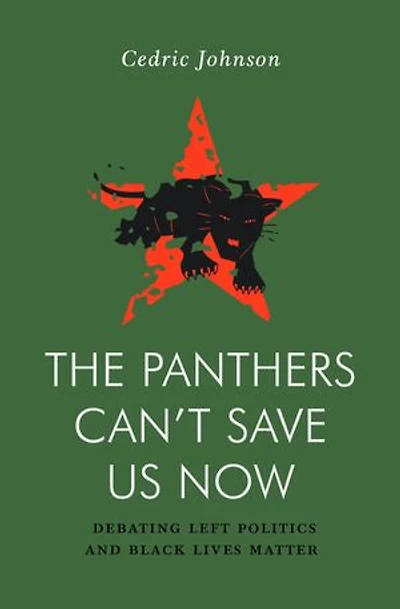 The Panthers Can't Save Us Now: Debating Left Politics And Black Lives Matter