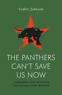 The Panthers Can't Save Us Now: Debating Left Politics And Black Lives Matter