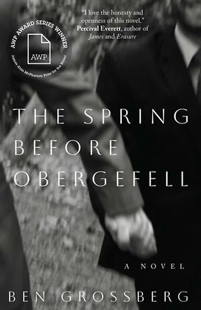 The Spring before Obergefell: A Novel