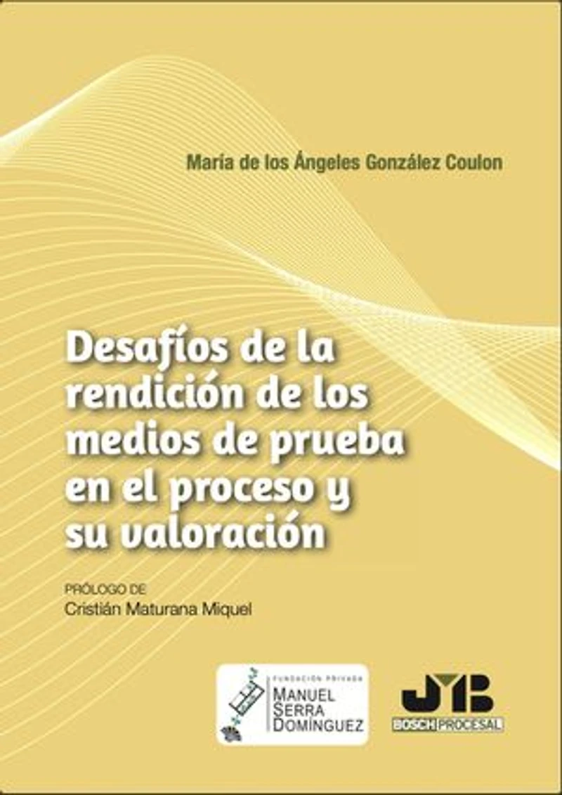 Desafíos de la rendición los medios prueba en el proceso y su valoración