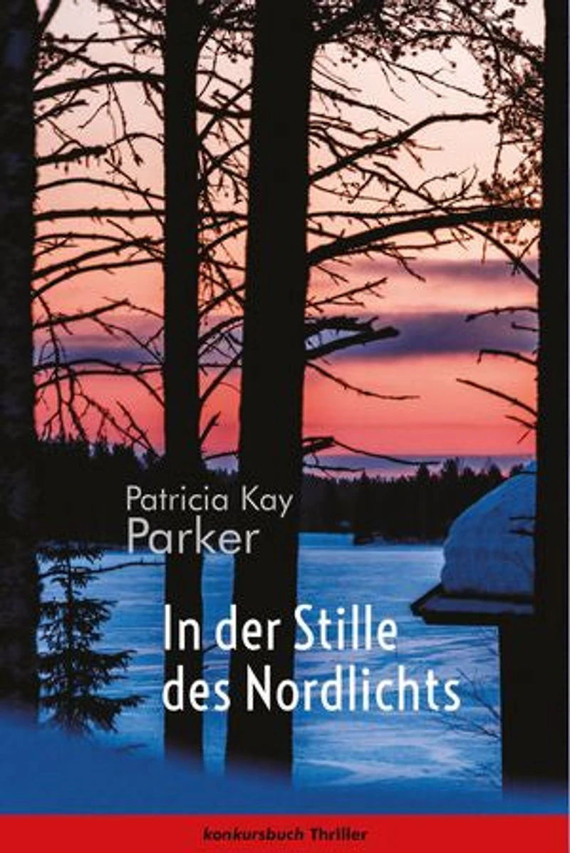 In der Stille des Nordlichts: Thriller