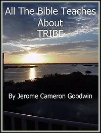 TRIBE: An Exhaustive Study On This Subject