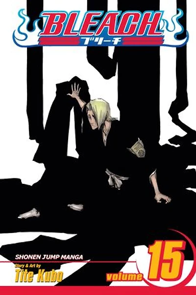 Bleach, Vol. 15: Beginning of the Death Tomorrow
