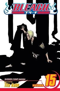 Bleach, Vol. 15: Beginning of the Death Tomorrow