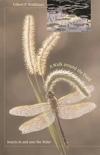 Walk around the Pond: Insects and over Water