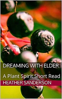 Dreaming with Elder: A Plant Spirit Short Read