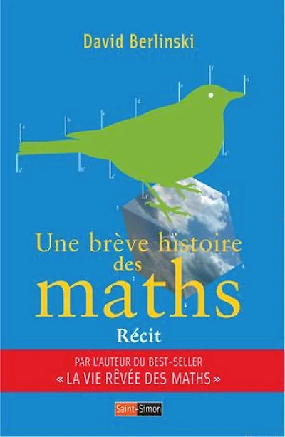 Une brève histoire des maths: La saga de notre science préférée