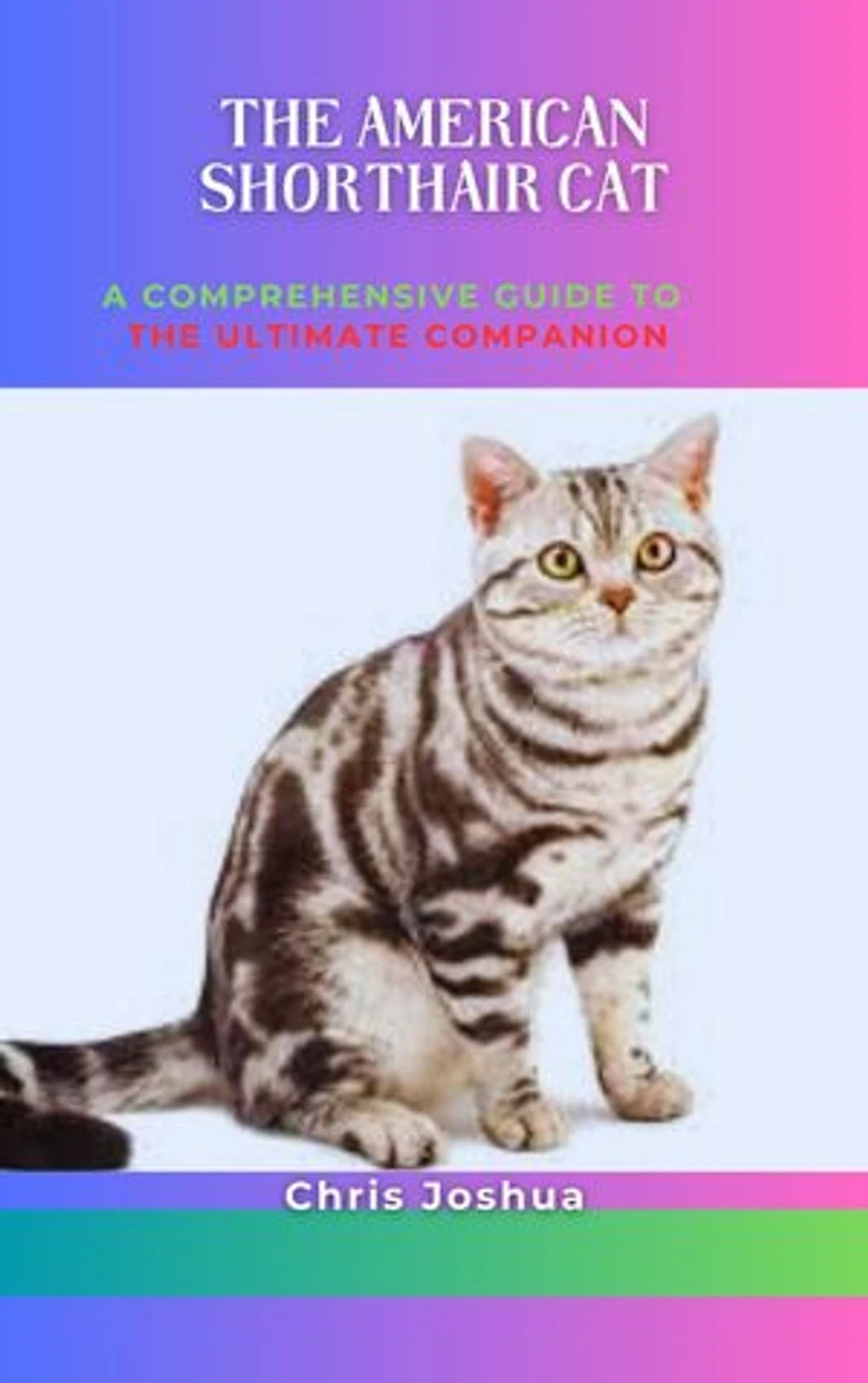 THE AMERICAN SHORTHAIR CAT: A Comprehensive Guide To The Ultimate Companion