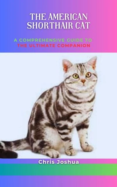THE AMERICAN SHORTHAIR CAT: A Comprehensive Guide To The Ultimate Companion