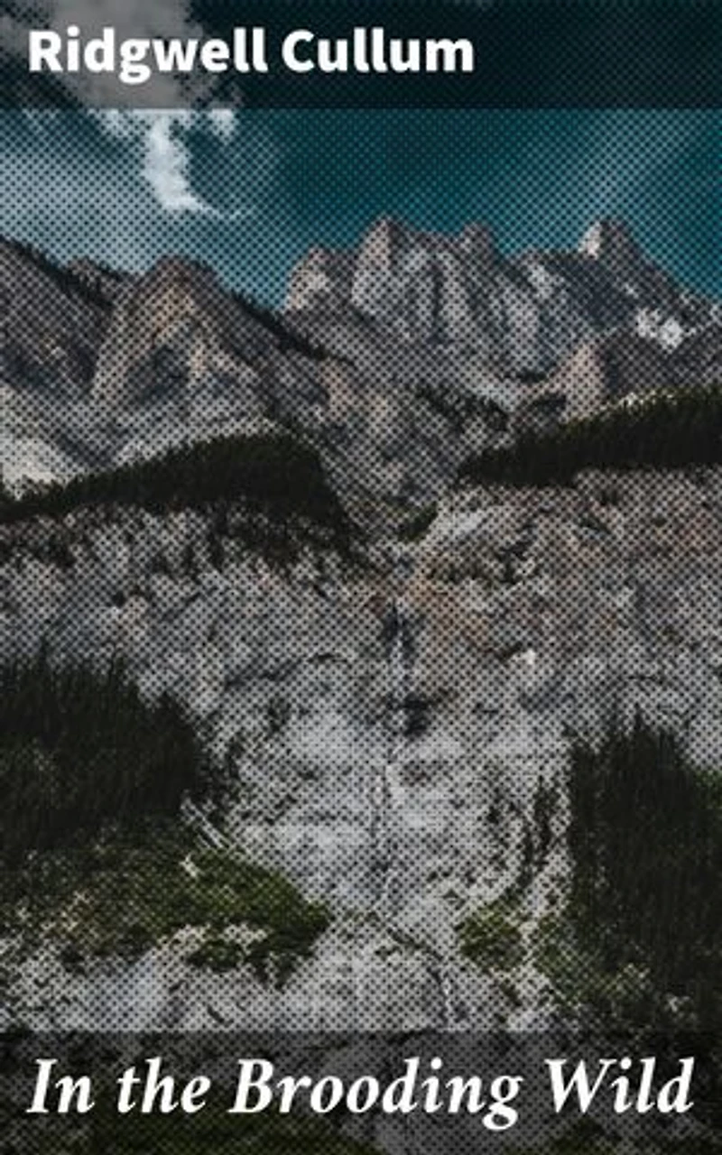 In the Brooding Wild: A Wild Frontier Adventure
