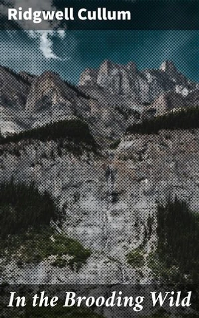 In the Brooding Wild: A Wild Frontier Adventure