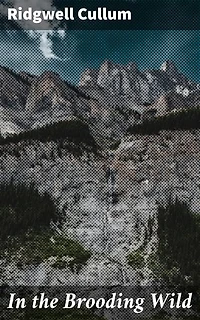 In the Brooding Wild: A Wild Frontier Adventure