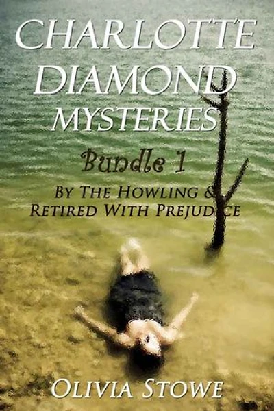 Charlotte Diamond Mysteries 1: Bundle 1