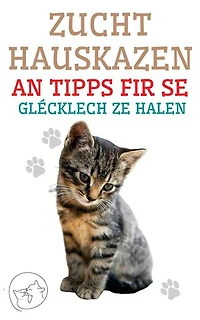 Zucht Hauskazen an Tipps fir se glécklech ze halen: De beschte Guide fir Iech Är Kaz ze verstoen an ze gär
