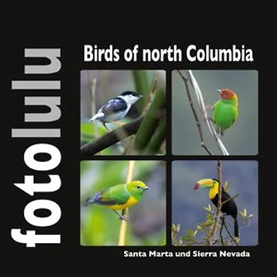 Birds of north Columbia: Santa Marta und Sierra Nevada