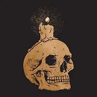 A Stoic and some Whiskey: A short guide into when sh*t gets deep