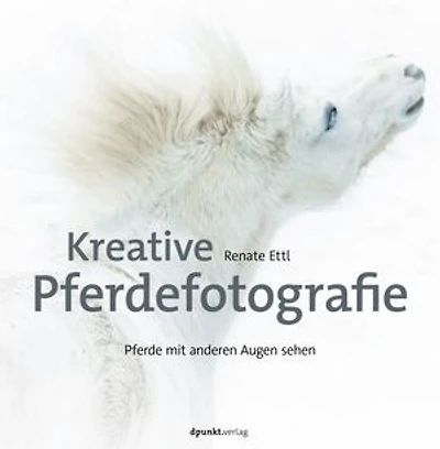 Kreative Pferdefotografie: Pferde mit anderen Augen sehen
