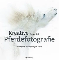 Kreative Pferdefotografie: Pferde mit anderen Augen sehen