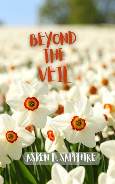 Beyond the Veil: Speedlit