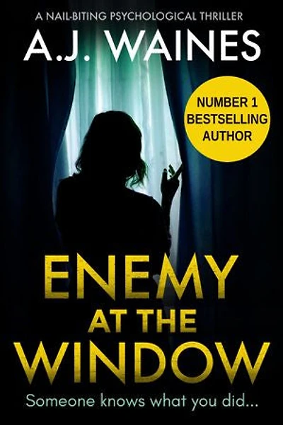 Enemy At The Window: A Nail-biting Psychological Thriller