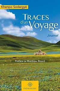 Traces d'un voyage: Journal