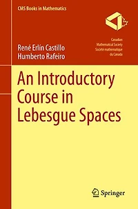 An Introductory Course Lebesgue Spaces