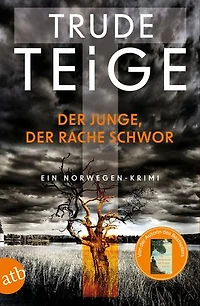 Der Junge, der Rache schwor: Ein Norwegen-Krimi