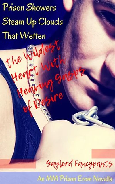 Prison Showers Steam Up Clouds That Wetten the Wildest Heart With Heaving Gasps of Desire: An MM Prison Erom Novella